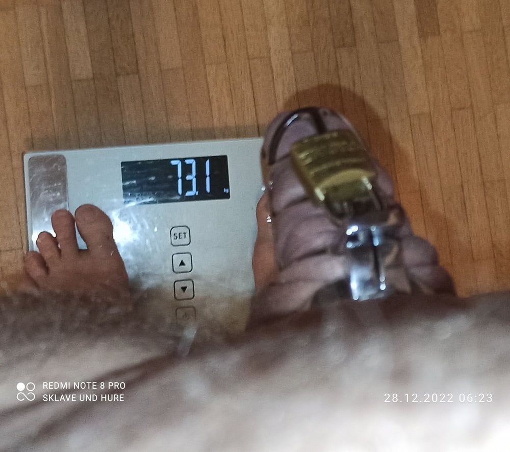 mandatory weighing and cagecheck of 28.12.2022
