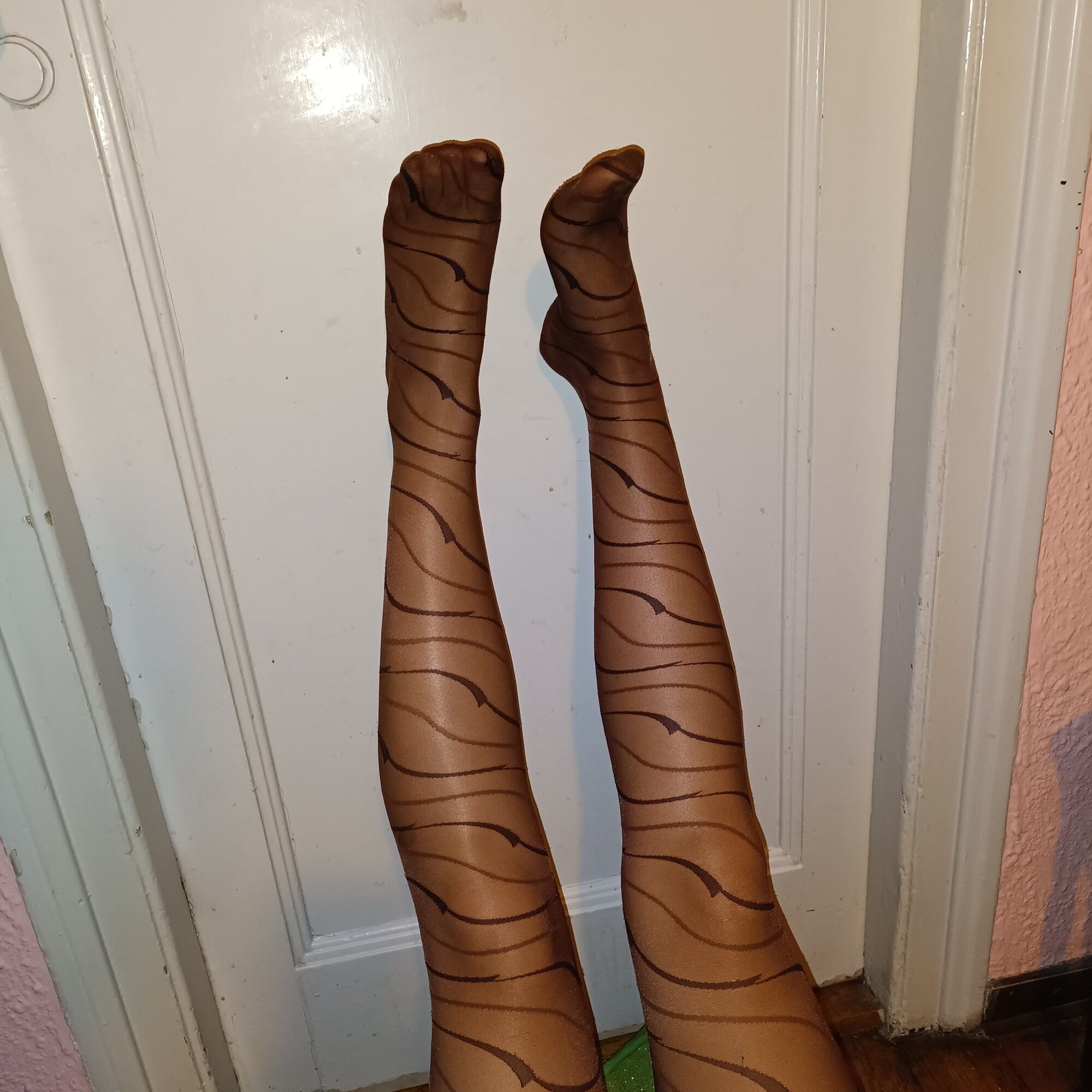 Legs #36
