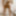 In white lingerie En lingeries blanche
