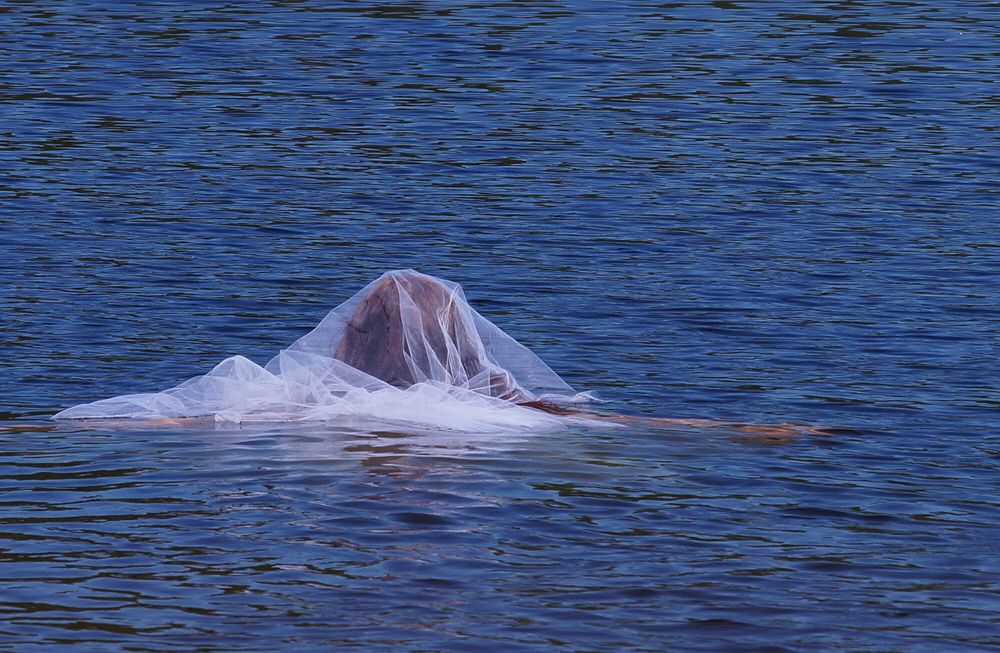 Drowned Woman 2 #18