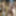 Mia HOT Camgirl