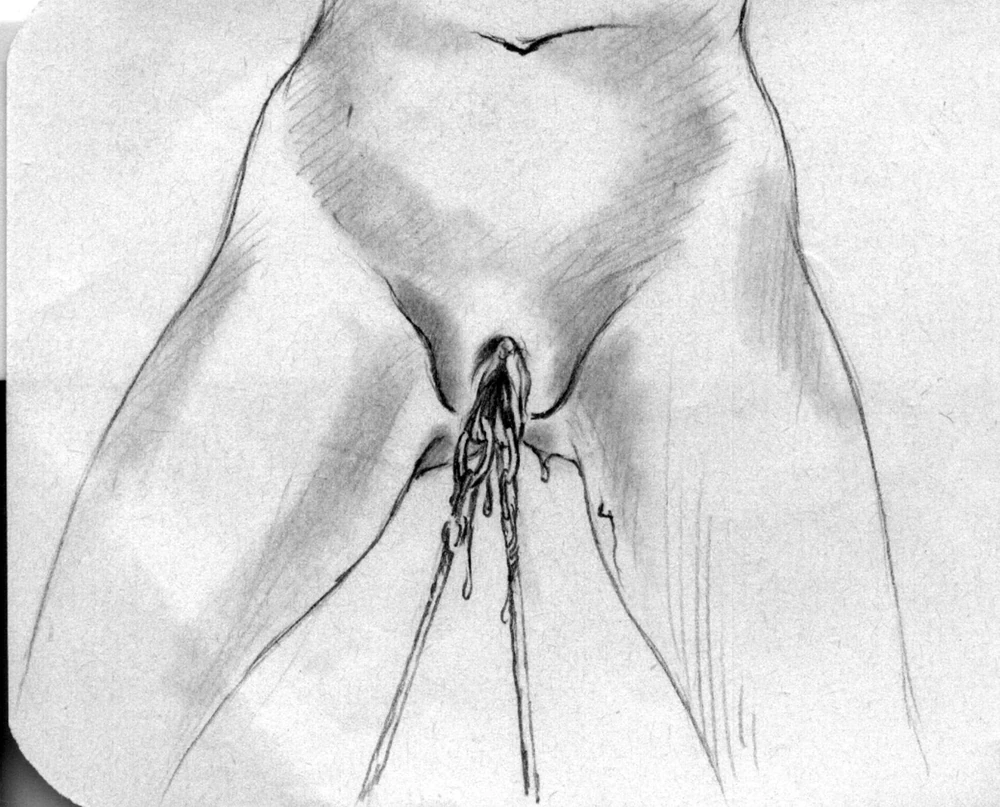 BDSM Zeichnungen  #5