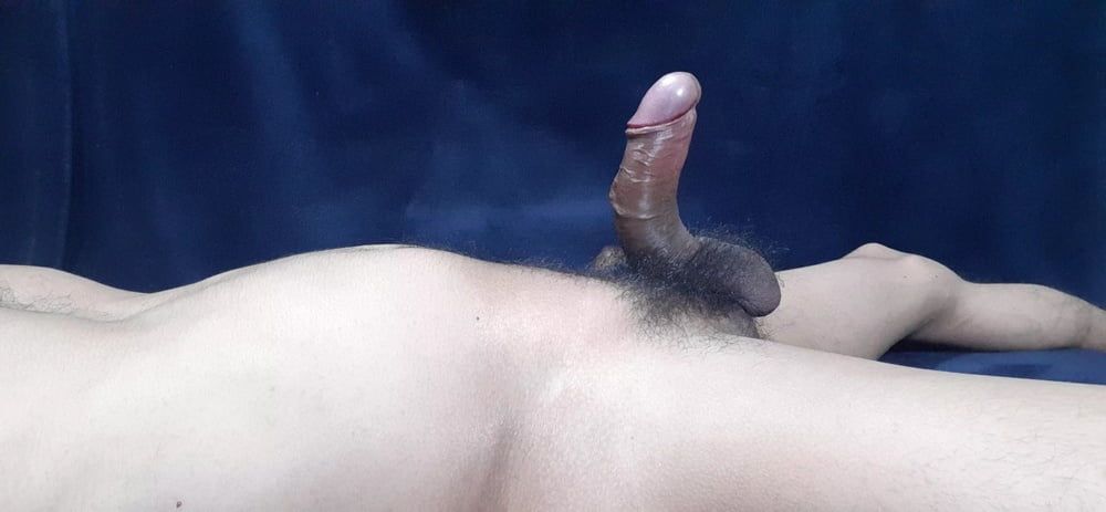 Cock  #21