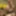 Horny big cock User fucking