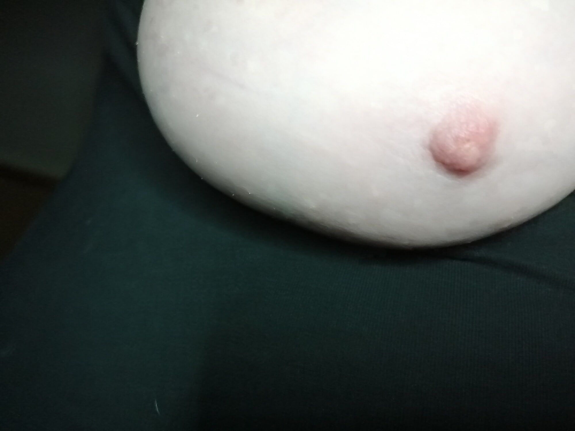 High-quality photos of my tits #14