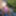 Sashé🦋 Free Photos