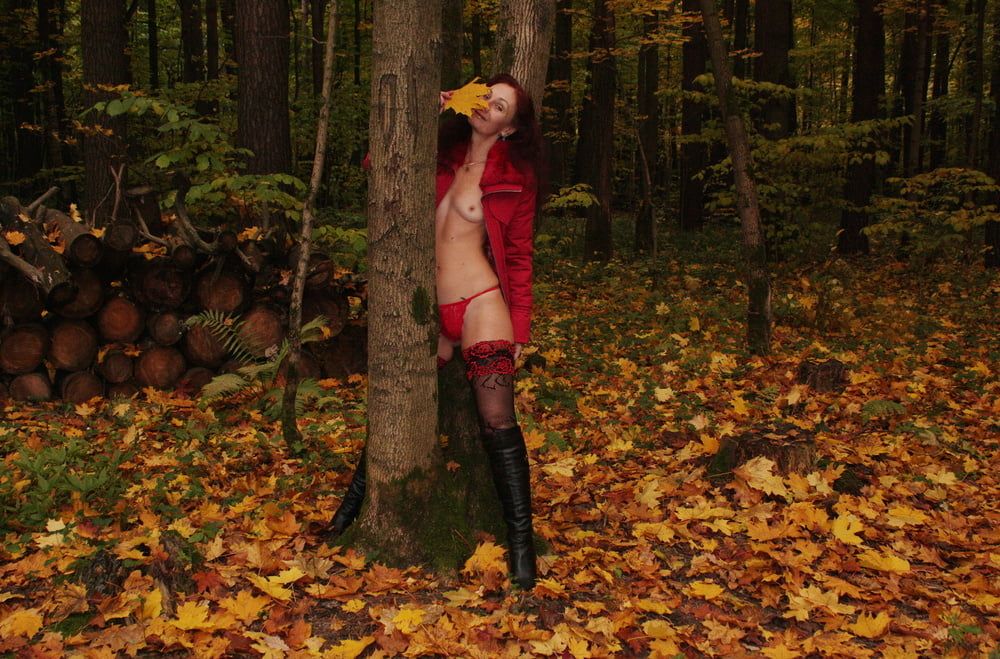 Red Autumn 5 #3