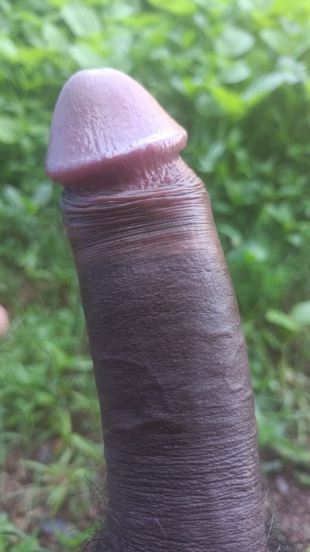 OUTSIDE MY DICK IN  RAIPUR #8