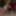Free Casey Photos