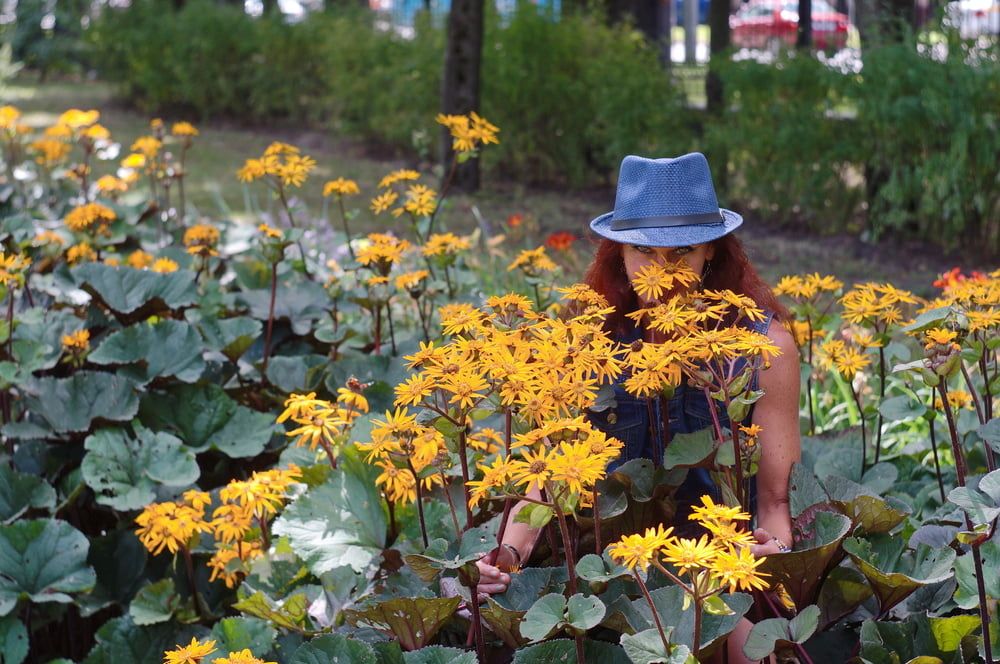 In orange flowers 1 #2