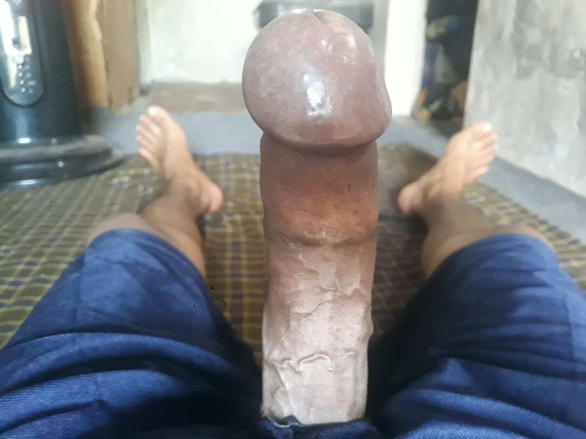 Cock #6