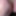 Brush insertion and labia clips #42