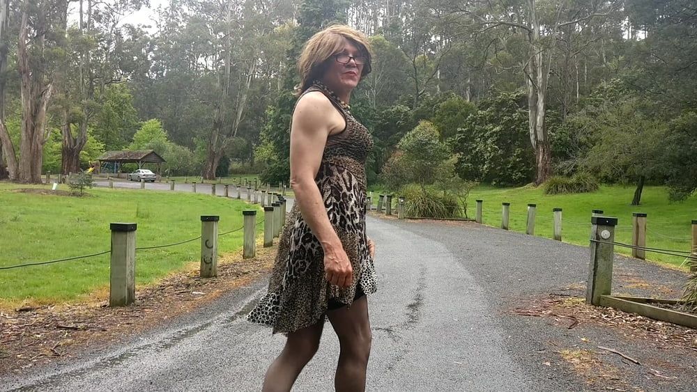 Crossdress Road trip leopard Print dress #26