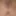  I good waxed my pussy or not?