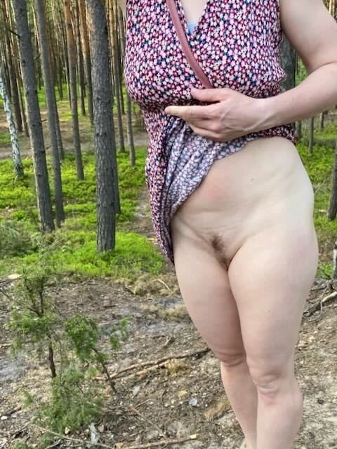 Forest Wanderlust