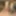 Free Linh Photos