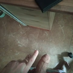mornig wood