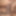Sex pic 