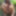 Tygra slut nude in the forest of the Robertsau. #3