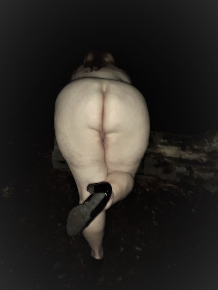 BBW Wife at the Parc