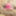 クロスドレッサーKsyusha 10.05.2025