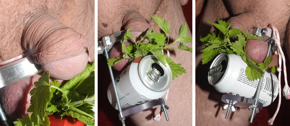 Crush my Balls and Nettle torment... #4