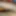 Long coock 