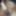 Califica mi pene #6