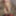 私のさまざまな新しい写真、これまでで最高のもののいくつか