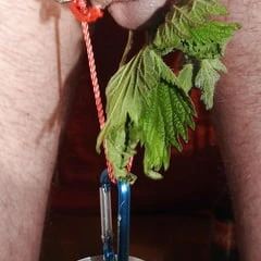 Task3 - a straw in your cock...