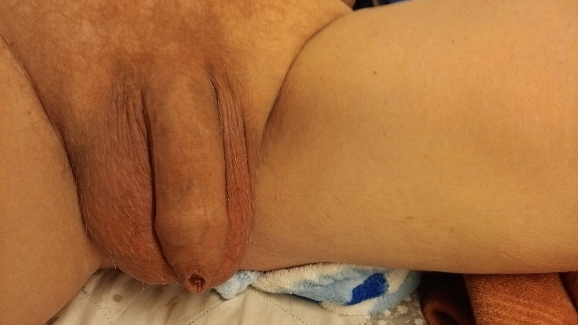 Privat #29