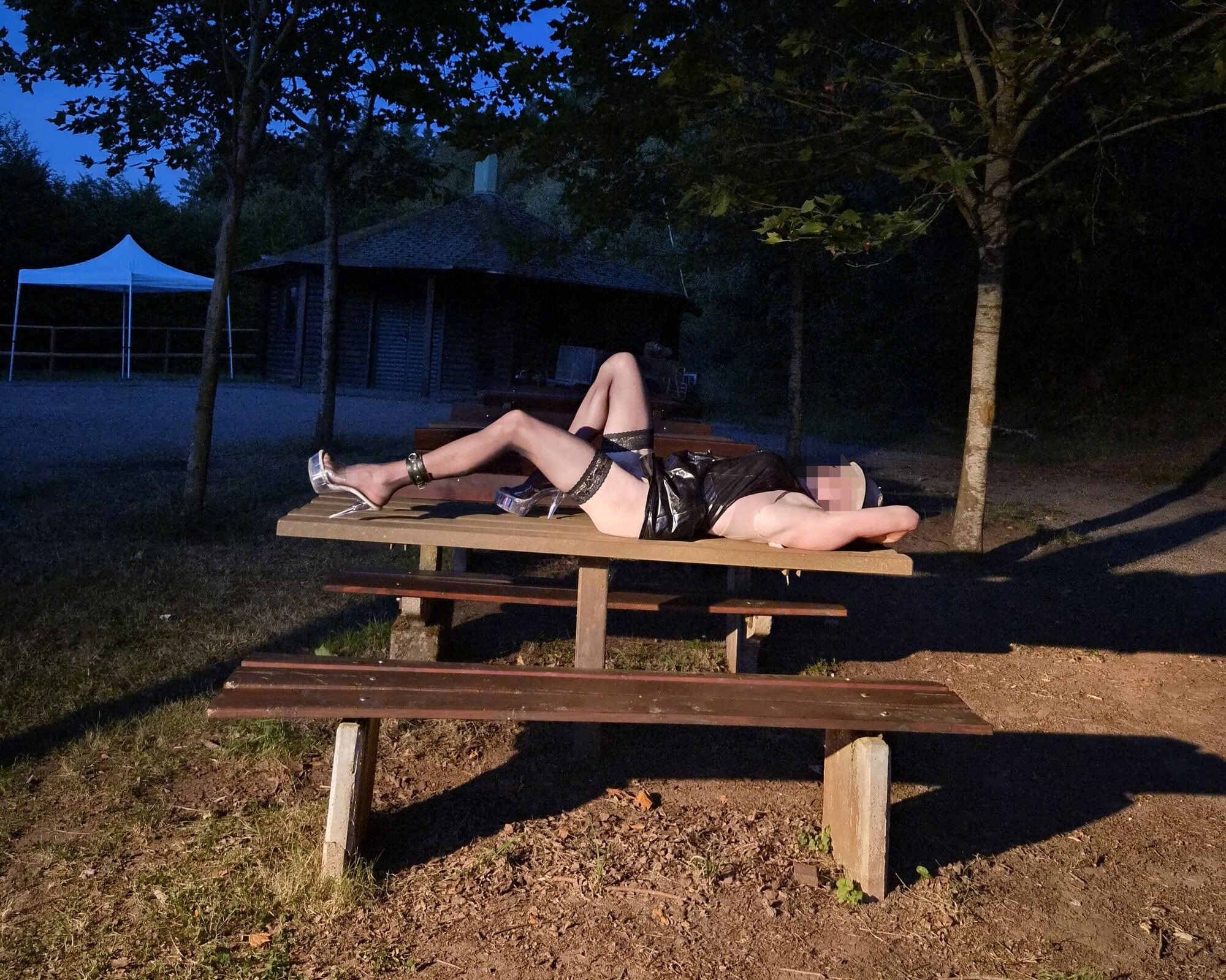 Dauergeile Stute 