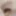  Very small and hairy