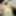 Free Monse Photos