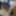 Sissy Ashley Jolene Ass Fucked with a Medium Black Dildo #37