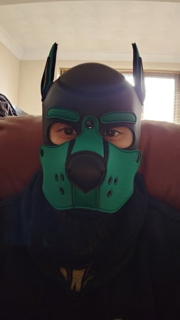my puppy hood