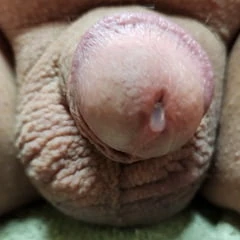 Small Cock Pre-Cum