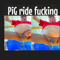 Piggy