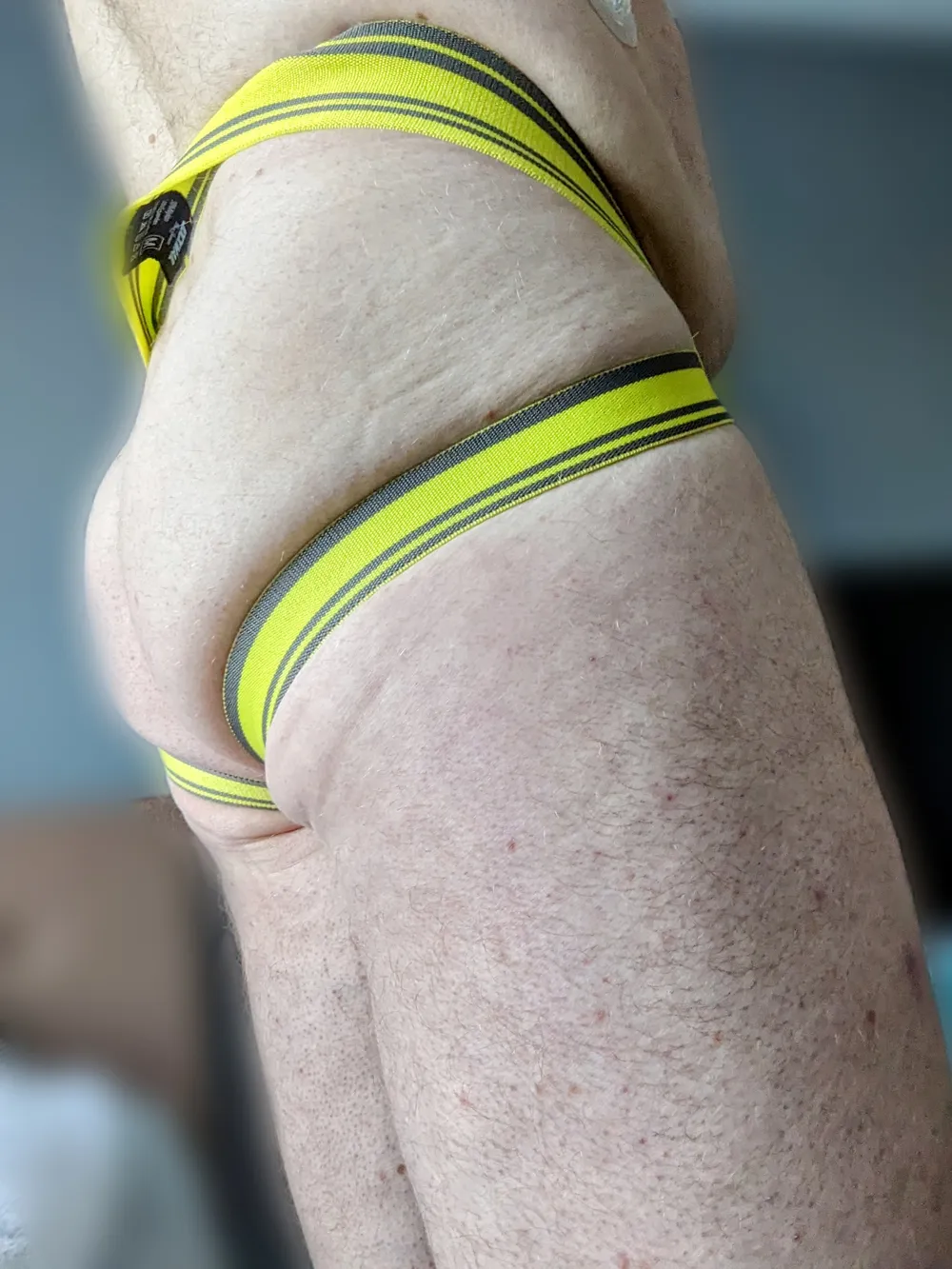 Yellow jock #3