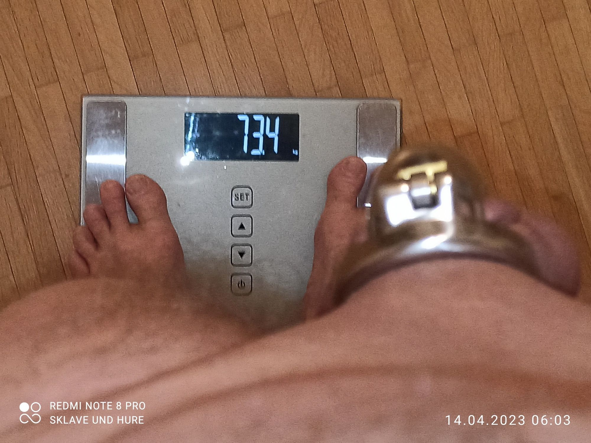 Displayed weighing and cagecheck of 14.04.23 #4