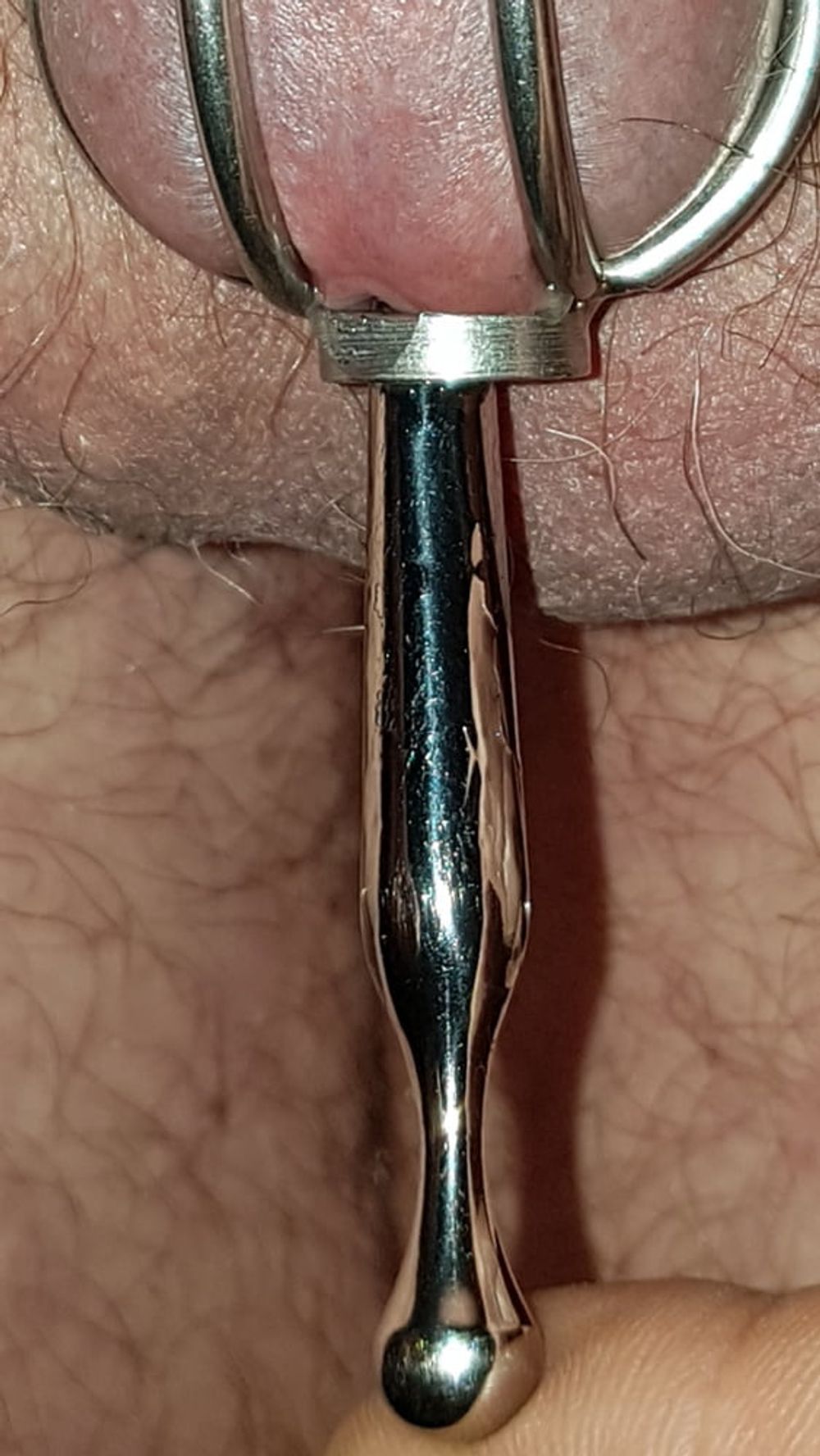 Urethral insertion #12