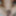 Asian gay bottom clean shaved n slim fair skin tone and sexy #2