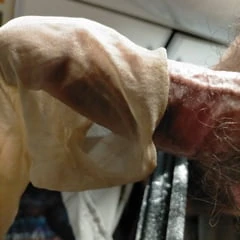 blowjob