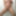 Photos February/2023 