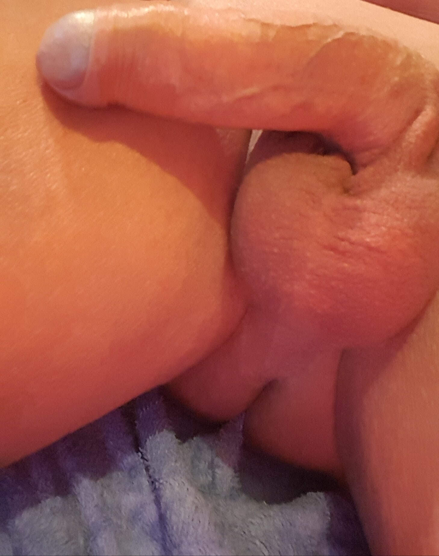 Cock #6