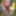 Sexy Crossdresser kellycd2022  cumshot compilation  #31
