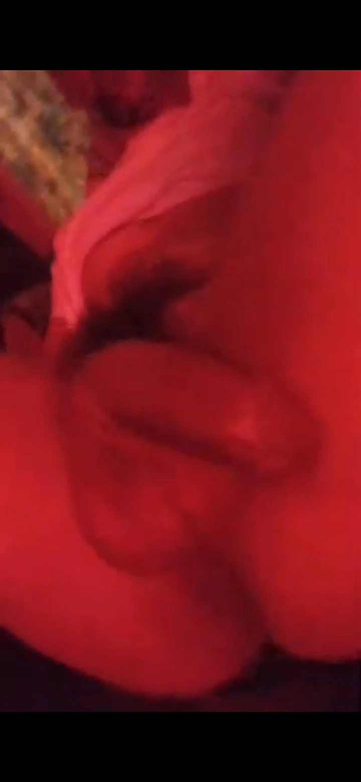 Lust for Shemale pornographic content #6