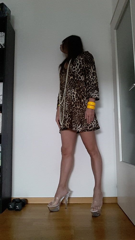 Tygra in her new leopard dress. #6