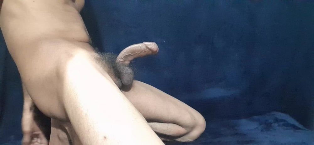Cock  #17