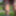 Crossdressing Transvestite Sounding Urethral God Dildo 122 a #10